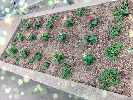 花壇